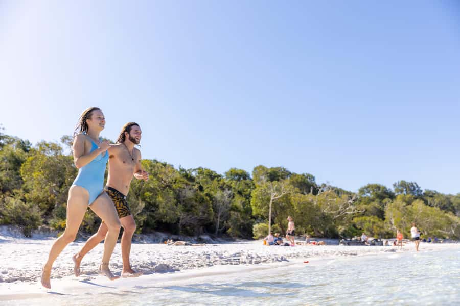 From Rainbow Beach: K'gari (Fraser Island) Full-Day Tour - The sand highway drive: part transport, part show