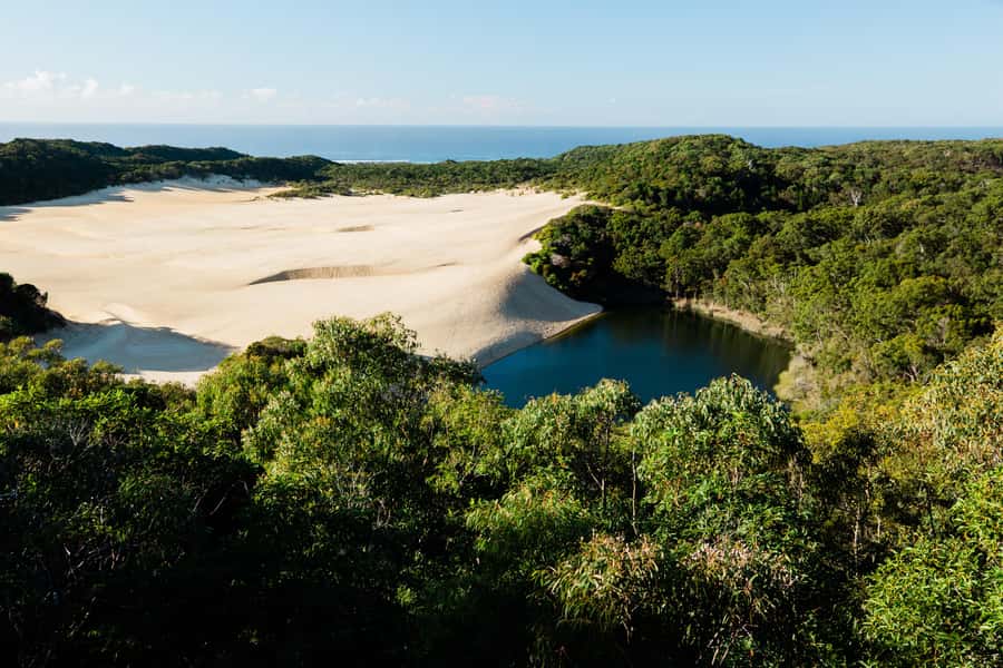 From Rainbow Beach: K'gari, Fraser Island Two-Day Coach Tour - Central Station and Wanggoolba Creek: where the rainforest shows up in the sand