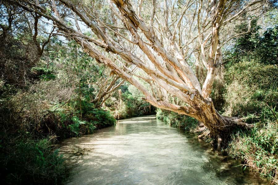 From Rainbow Beach: K'gari, Fraser Island Two-Day Coach Tour - 75 Mile Beach and the sand spine: big driving scenery plus story stops