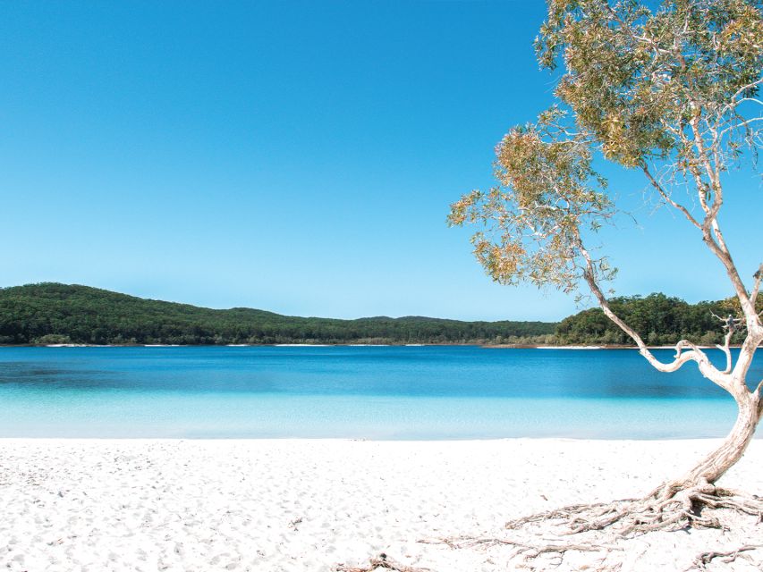 From Rainbow Beach: K'gari, Fraser Island Two-Day Coach Tour - Lake Wabby and Hammerstone Sandblow: Emerald-green water and shifting sand