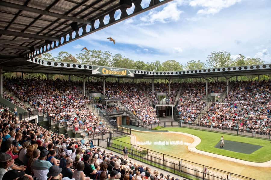 From Sunshine Coast: Australia Zoo Entry Ticket and Transfer - Wildlife Hospital Stop: A Quick Visit With Big Meaning
