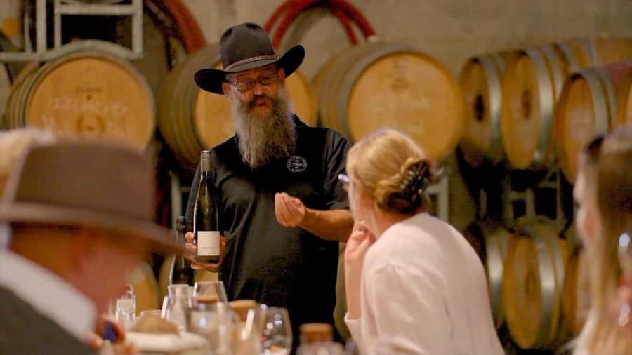 From Sydney: All Inclusive Boutique Hunter Valley Wine Tour - Boutique cellar doors: what you get at Saddlers Creek, Hanging Tree Wines, and Ernest Hill