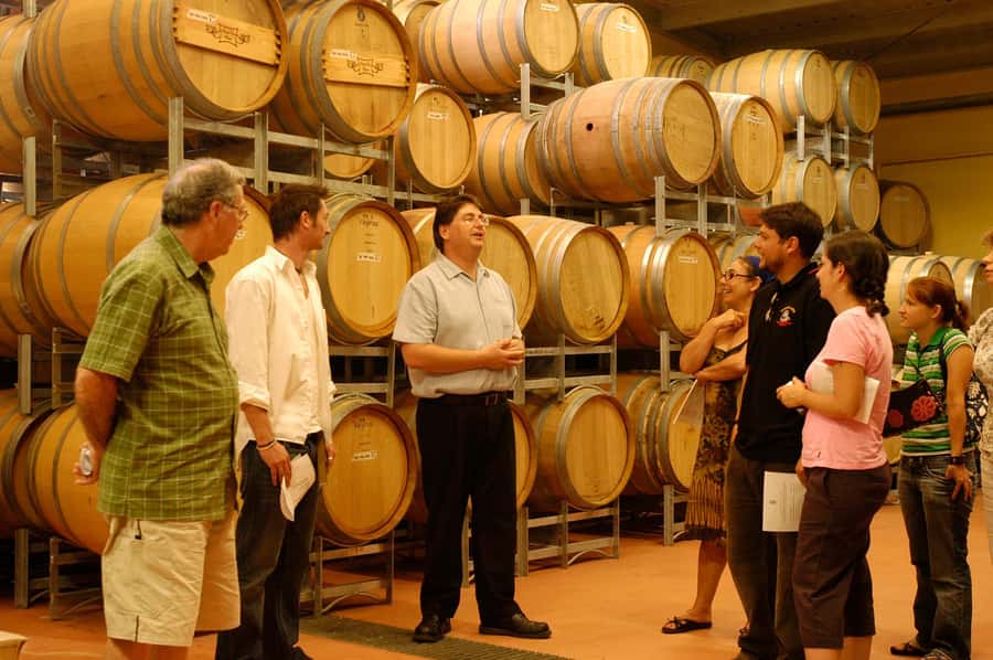 From Sydney: All Inclusive Boutique Hunter Valley Wine Tour - Cheese pairing and lunch at Pokolbin: the food part of the win