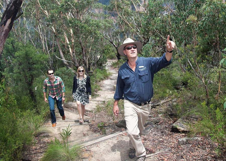 From Sydney: Blue Mountains Bushwalks & Featherdale Tour - Featherdale Wildlife Park, koalas and kangaroos on a conservation-focused stop