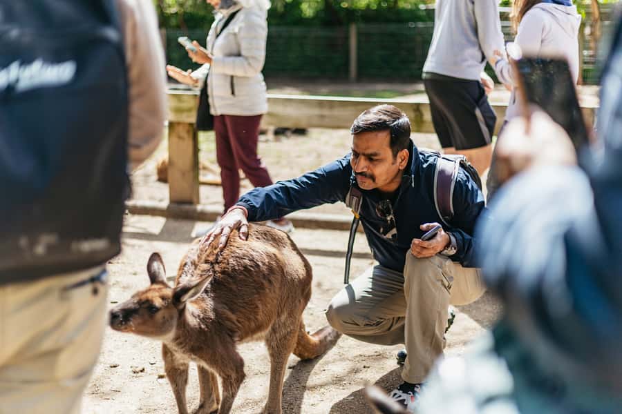 From Sydney: Blue Mountains Full-Day Trip - Price and value: what $148 buys for a 10-hour highlight day