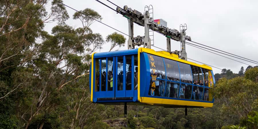 From Sydney: Blue Mountains, Scenic Railway, & Sydney Zoo - From central Sydney to the Mountains, with the plan already set