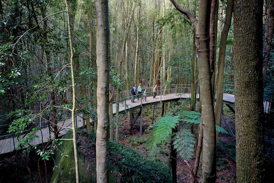From Sydney: Blue Mountains, Scenic World, Zoo, & Ferry Ride - Echo Point and the Three Sisters: Best Views, Even When Weather Shifts