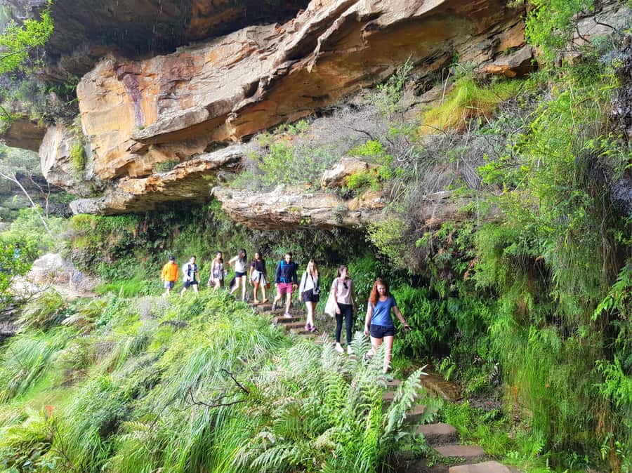 From Sydney: Blue Mountains Tour with Waterfall Walk & Lunch - Sydney To The Blue Mountains: Timing, Group Size, And Meeting Spot