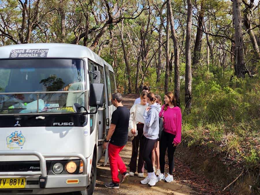 From Sydney: Blue Mountains Tour with Waterfall Walk & Lunch - Lookouts, Weather, And Track Changes: How Your Day Stays Flexible