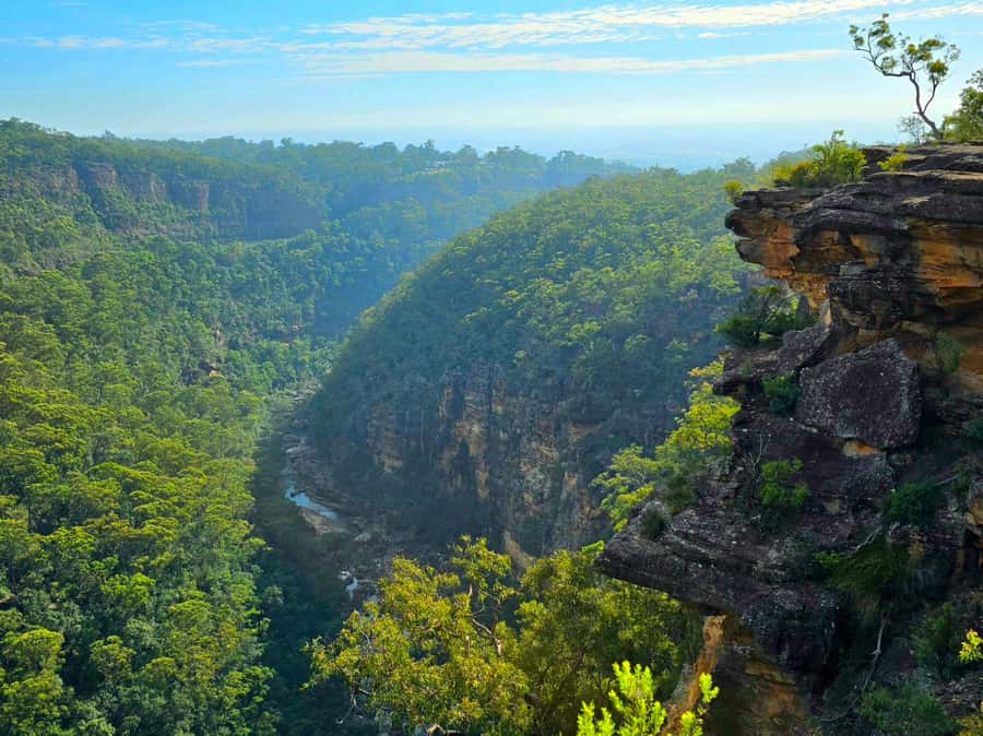 From Sydney: Blue Mountains Tour with Waterfall Walk & Lunch - Should You Book This Blue Mountains Day Tour?