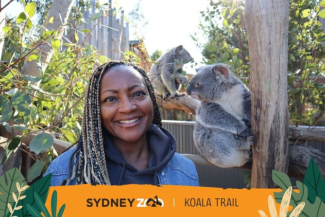From Sydney: Blue Mountains with Zoo, Koala Photo & Scenic World - Scenic World Unlimited Discovery Pass: Railway, Skyway, Cableway