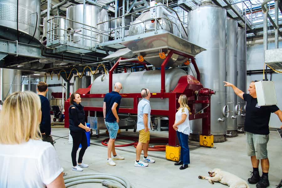 From Sydney: Full-Day Hunter Valley Tour w/ Tastings & Lunch - Price and Value: Is $190 Worth It for What You Get?