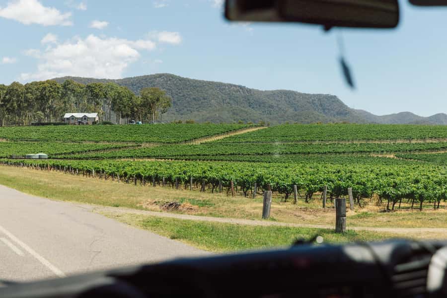 From Sydney: Full-Day Hunter Valley Wine Tour & Lunch - Winery day starts: cellar doors, reds and whites, and what to listen for