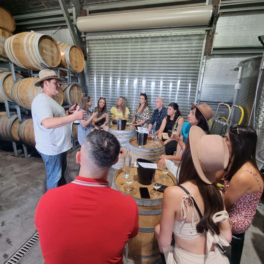 From Sydney: Hunter Valley Wine, Gin & Food Tastings Tour - Hunter Valley Wine, Gin, and Food: The Smart Way to Do It from Sydney