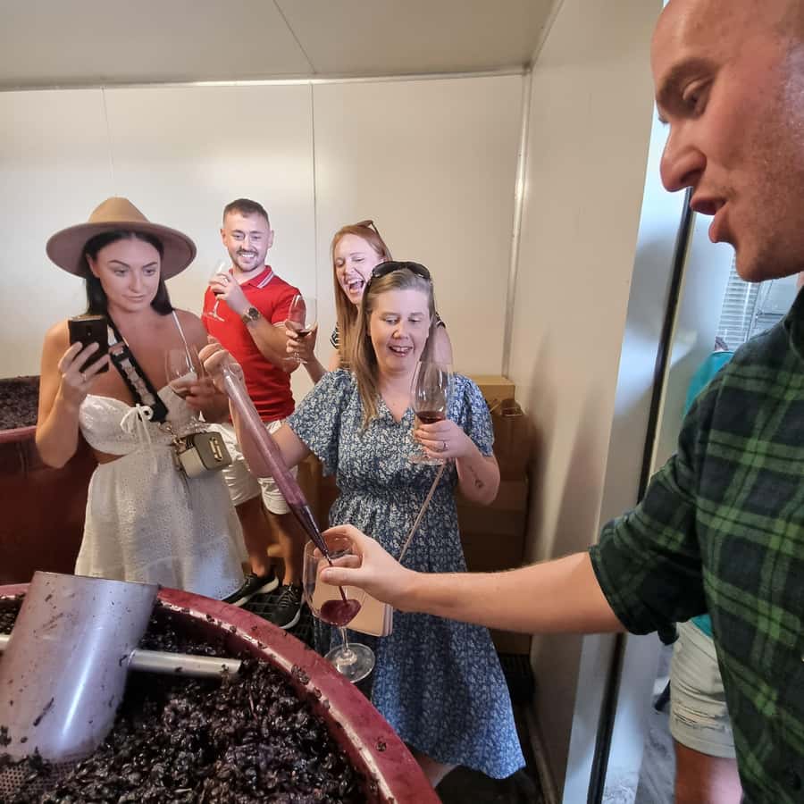 From Sydney: Hunter Valley Wine, Gin & Food Tastings Tour - Cheese and Chocolate Pairings: The Best Reason to Book This Tour