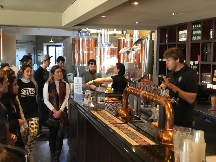 From Sydney: Hunter Valley Wine Tasting & Winery Picnic Tour - 4 Pines Brewery lunch option: a craft break that keeps the day fun