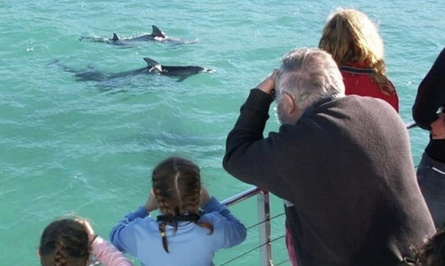 From Sydney: Jervis Bay Day Tour and Dolphin Watching Cruise - Huskisson beach time and lunch: how to handle the food gap