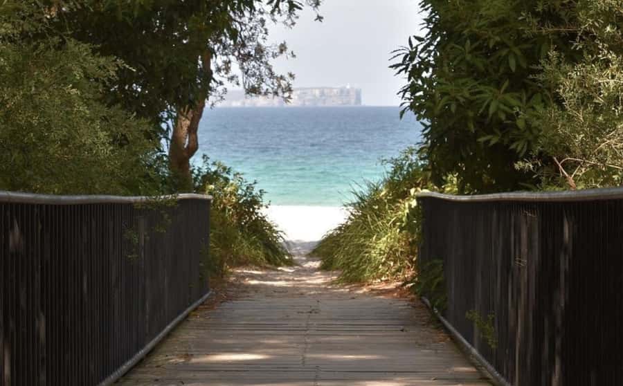 From Sydney: Jervis Bay Day Tour and Dolphin Watching Cruise - Tour guides and small-group comfort: how it affects your day