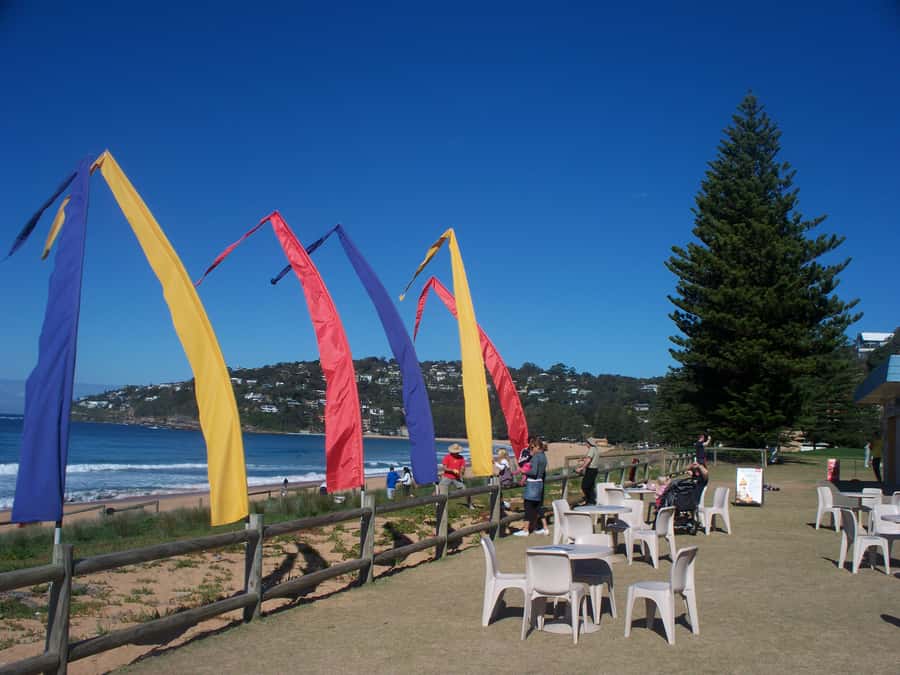 From Sydney: Location Tour of Home and Away - Key points before you pick a day