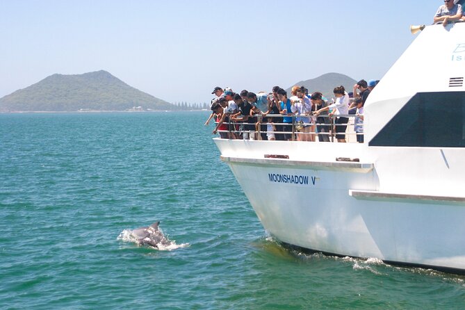From Sydney: Port Stephens Dolphin, Koalas, Lunch & Sandboarding - Key things I’d bet on