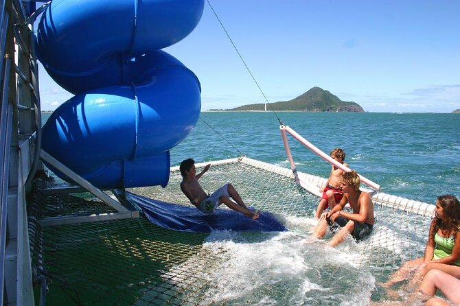 From Sydney: Port Stephens Dolphin, Koalas, Lunch & Sandboarding - Koala Sanctuary: more than a cuteness stop