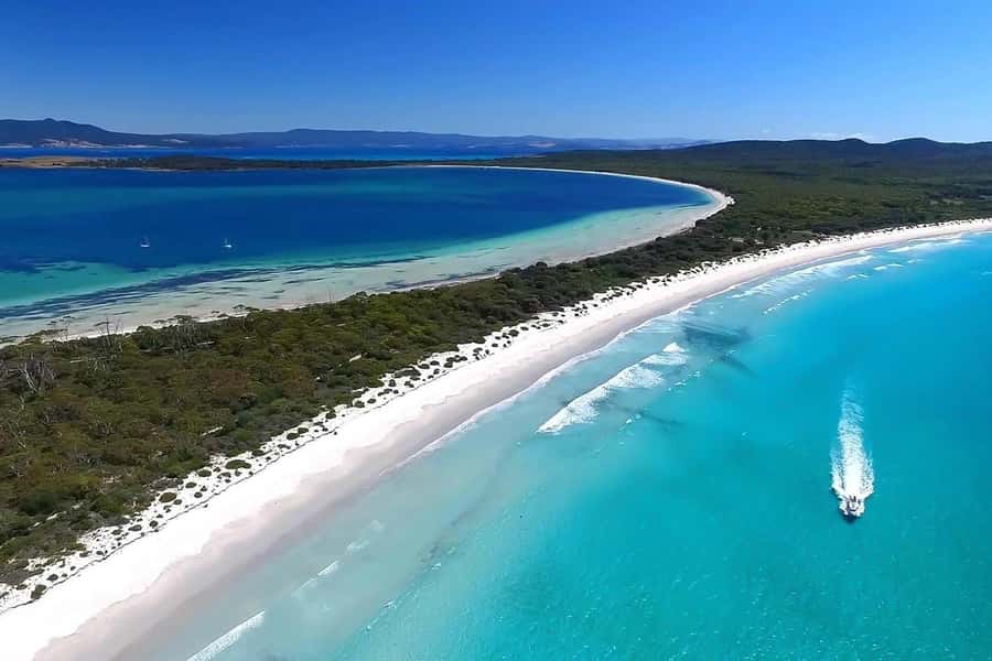 From Triabunna: Maria Island Cruise & Guided Walk with Lunch - Key things to know before you go
