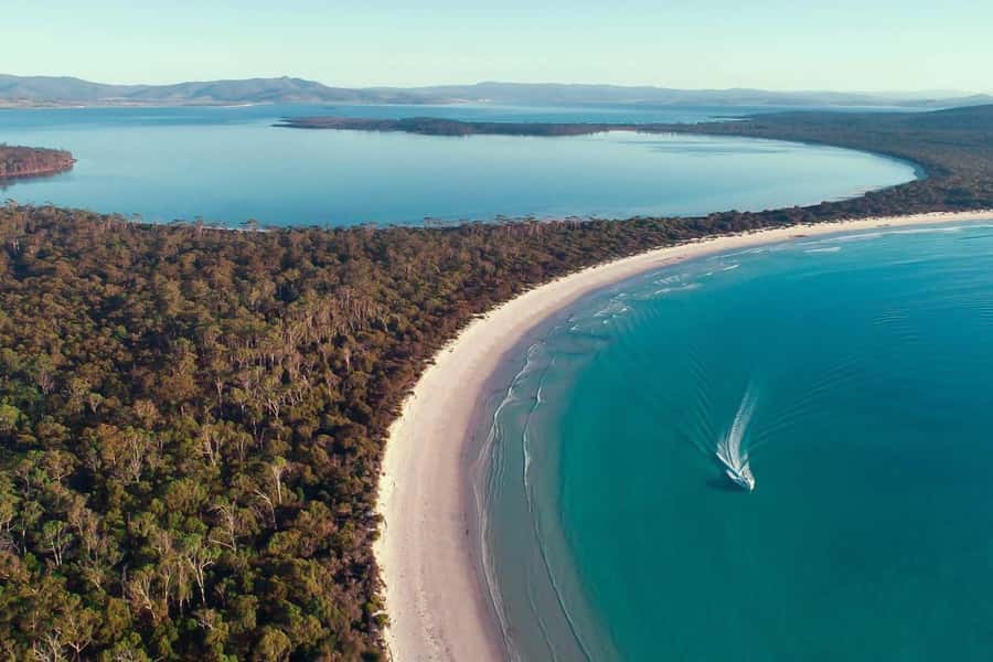 From Triabunna: Maria Island Cruise & Guided Walk with Lunch - Triabunna morning: check-in, coffee, and where to park