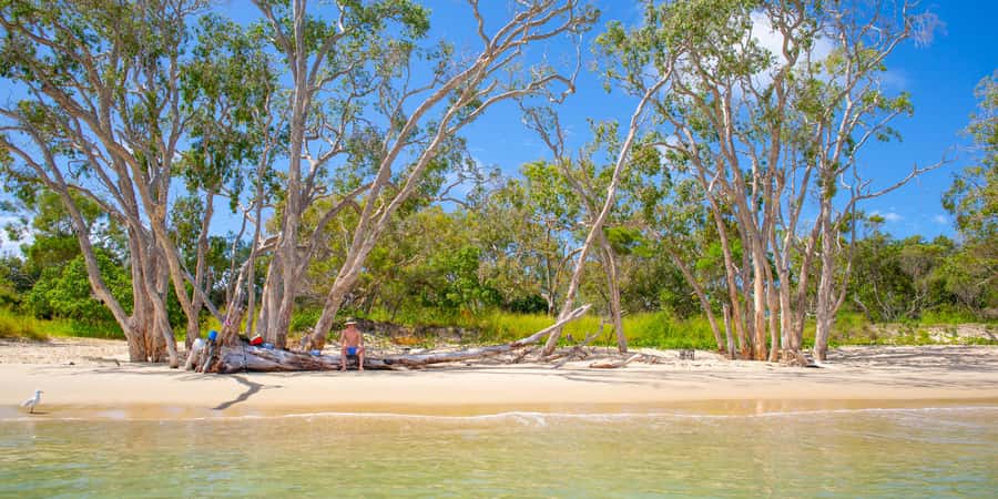 From Yeppoon: Great Keppel Island Snorkeling Hire with Lunch - Snorkelling on your terms, plus where to look first