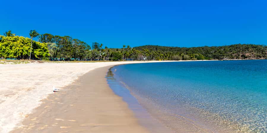 From Yeppoon: Great Keppel Island Snorkeling Hire with Lunch - Price and value: is $77 reasonable for what you get?