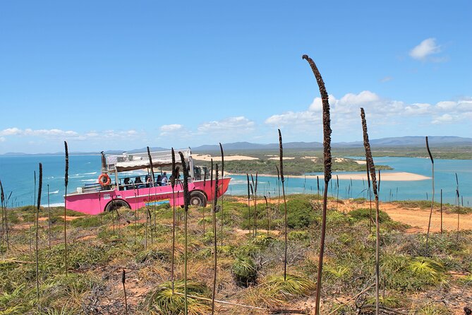 Full-Day 1770 Tour by LARC Amphibious Vehicle Including Sandboarding and Bustard Head Lightstation - Middle Island lunch, billy tea, and the sandboarding question