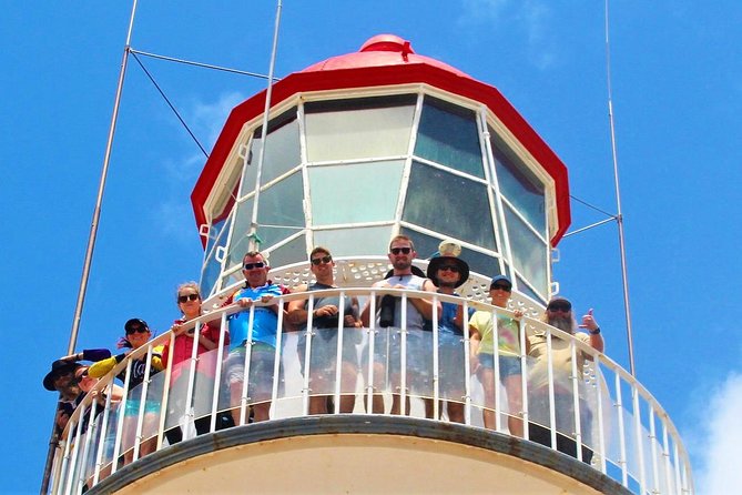 Full-Day 1770 Tour by LARC Amphibious Vehicle Including Sandboarding and Bustard Head Lightstation - Wildlife and sea-life spotting, when conditions cooperate