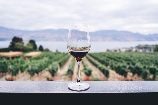 Full-Day Boutique Wine Tour with Pick Up and Lunch - A 6-hour boutique wine day that actually fits your schedule