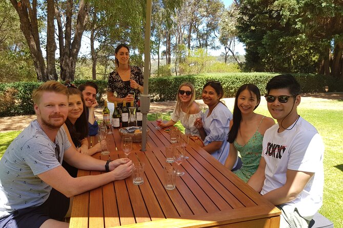 Full-Day Boutique Wine Tour with Pick Up and Lunch - What the guide does for you (and how to get more from the day)