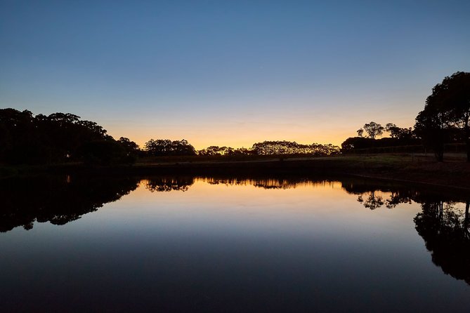 Full-Day Boutique Wine Tour with Pick Up and Lunch - Value check: is $118 a fair deal for Margaret River wine?