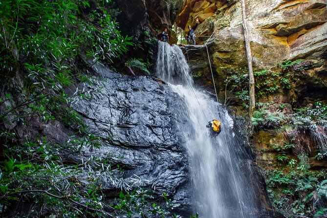 Full-Day Canyoning Experience at Stunning Empress Canyon - Water jumps, swims, and how the canyon keeps you moving