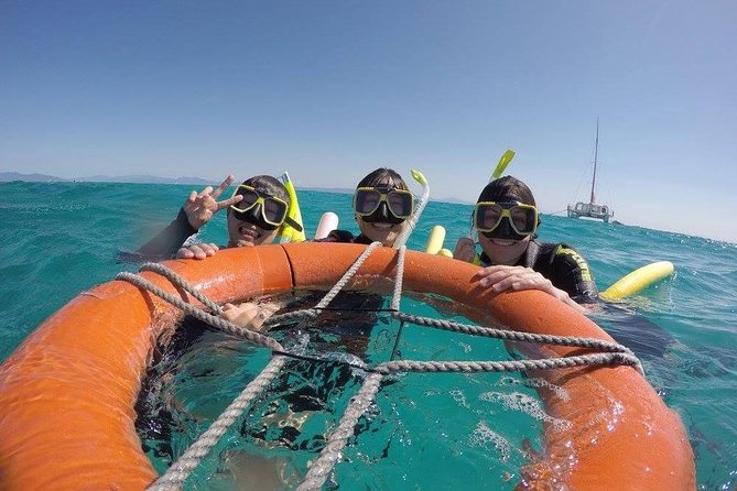 Full-Day Great Barrier Reef Sailing Trip from Cairns - Key highlights worth caring about