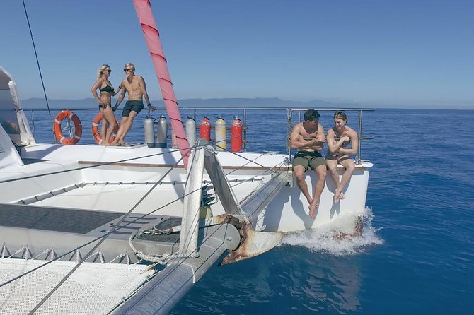 Full-Day Great Barrier Reef Sailing Trip from Cairns - The 7:30 am start: meeting Reef Daytripper and timing your day
