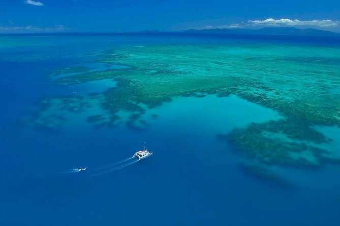 Full-Day Great Barrier Reef Sailing Trip from Cairns - Snorkeling gear, exposure suits, and the 65+ vest rule