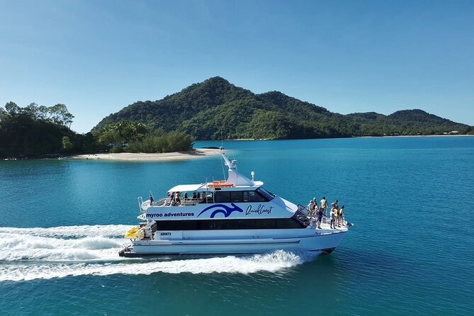 Full-Day Great Barrier Reef Sailing Trip from Cairns - What you’ll see in the water: coral, fish, turtles, clams