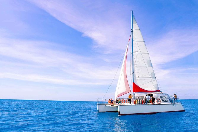 Full-Day Great Barrier Reef Sailing Trip from Cairns - Food and breaks: buffet lunch, snacks, and morning tea included