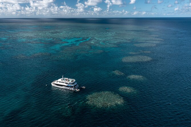 Full-Day Great Barrier Reef Snorkeling from Hamilton Island - Key things I’d lock in before you go
