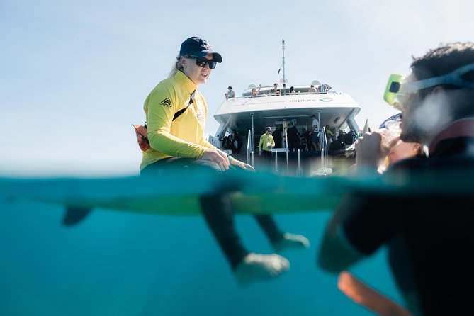 Full-Day Great Barrier Reef Snorkeling from Hamilton Island - Price check: is $214.46 worth it for the reef time?
