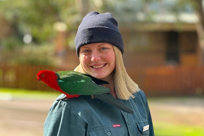 Full-Day Great Ocean Road and 12 Apostles Sunset Tour from Melbourne - Guides like Ben, Rhys, and Jess make the day feel organized