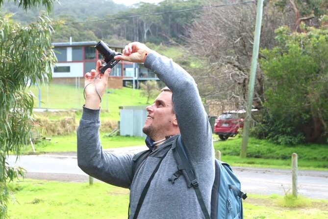 Full-Day Great Ocean Road and 12 Apostles Sunset Tour from Melbourne - Stop 1: Anglesea, a small break before the coast gets serious
