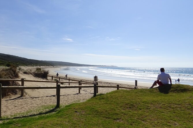 Full-Day Great Ocean Road and 12 Apostles Tour - Why this Great Ocean Road trip feels easy (even when it’s long)