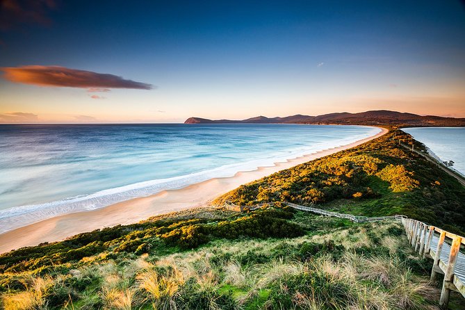 Full-Day Guided Bruny Island Tour from Hobart - Bruny Island by ferry, with Hobart hotel pickup