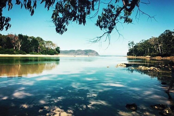 Full-Day Guided Bruny Island Tour from Hobart - Adventure Bay: a calm coastline break for coffee and a swim
