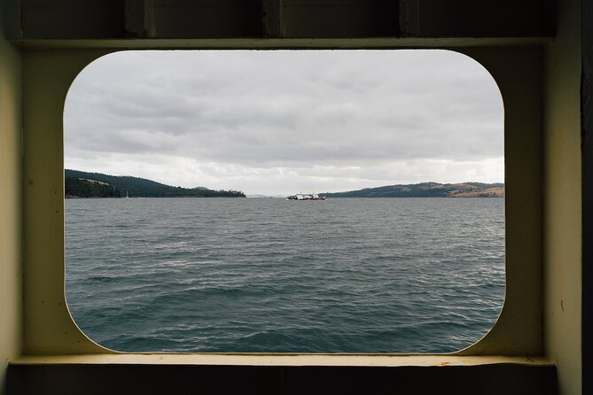 Full-Day Guided Bruny Island Tour from Hobart - Mavista Picnic Area and the rainforest walking track