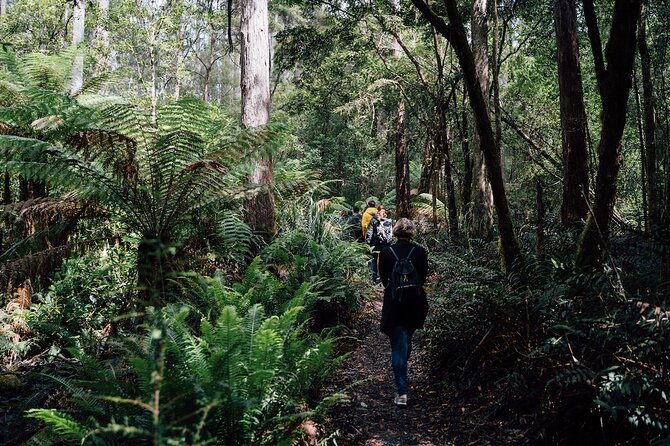 Full-Day Guided Bruny Island Tour from Hobart - Alonnah lunch at the Hotel Bruny Pub