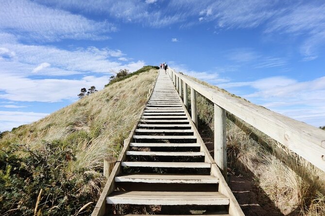 Full-Day Guided Bruny Island Tour from Hobart - What the guide adds: history, ecosystem, and real local talk